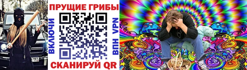 Галлюциногенные грибы Magic Shrooms  закладка  darknet телеграм  Дмитровск 